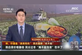 韩、印遭遇“蔬菜危机”民众过冬“腌不起泡菜”图片