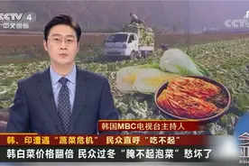 韩、印遭遇“蔬菜危机”民众过冬“腌不起泡菜”图片