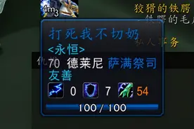 TBC怀旧服混合职业DPS现状：暗牧版本初的神，元素萨真香？图片
