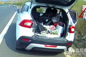 挖野菜这么“香”吗？大娘为了它竟钻过护网上高速...图片
