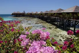 农村俗语“门前有水不是福，屋后有山灾祸足”，啥意思？在理吗？图片