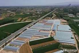 项目花开 发展加快——武威市高质量发展项目观摩活动走进凉州区侧记图片