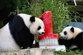 “小奇迹”，周岁生日快乐图片
