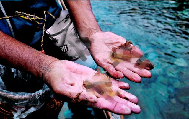 里面的五毒教教主蓝凤凰令人印象深刻,她就十分擅长炼制传说中的蛊毒