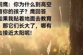 犹太人为何如此聪明和智慧？一切源于他们有不一样的家庭教育图片