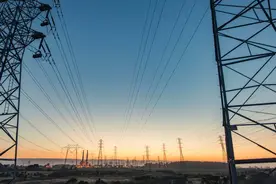 小科普 | 如何保护鸟类免受电力线的伤害图片