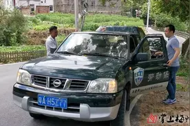 开着皮卡找山货引项目助脱贫！梅州丰顺驻村干部杨春璐变身“卖货郎”图片