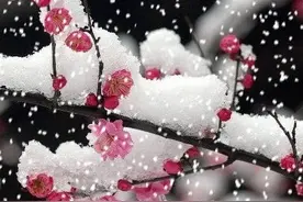 我和我的父亲图片