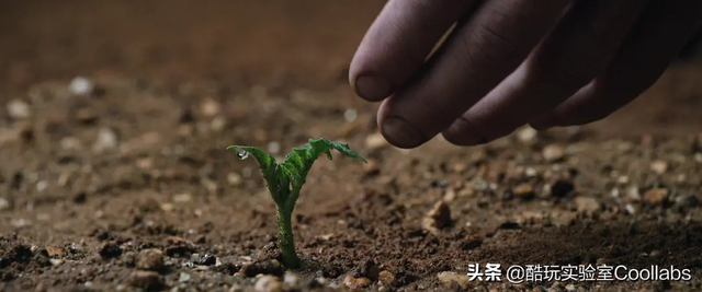 土豆到底能不能当饭吃？袁隆平生前是这么说的