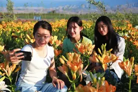 姓森，名林，字宜居，新疆27个国家森林乡村等你见面！图片