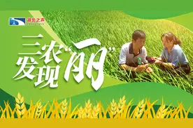 湖北长江禁渔纪实 |  退捕渔民张成国老俩口的新生活图片