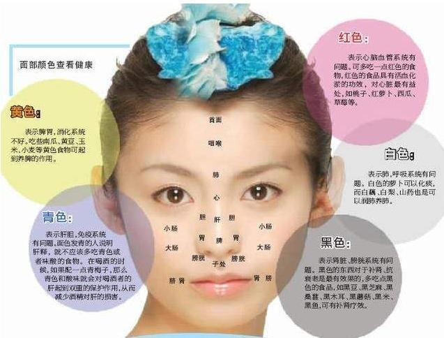 皱纹小百科-兔子线「鼻背纹」,显老态(什么是鼻横纹图) - 冷求网