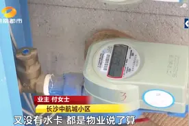 业主质疑水表转速快拒缴水费，遭物业强制停水图片