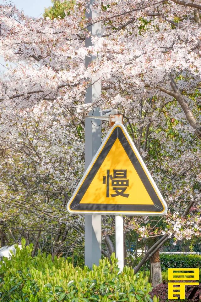 苏州“贵族” :西交利物浦