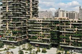 第四代住房已经交付了，家家有花园，汽车可开上高层停到家门口图片
