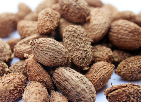 中医常见治疗胃病的中药材大全，很实用，收藏起来吧