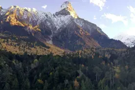 一场说走就走的旅行图片