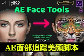 AE人面部跟踪合成换脸美颜美容滤镜特效插件预设AE Face Tools V4.1图片