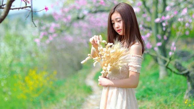 「情感散文」爱情，如一朵凋零的蔷薇花