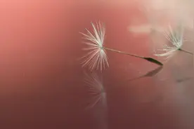城府深厚，笑里藏刀的星座，越是出色，越喜欢隐藏锋芒，深不可测图片