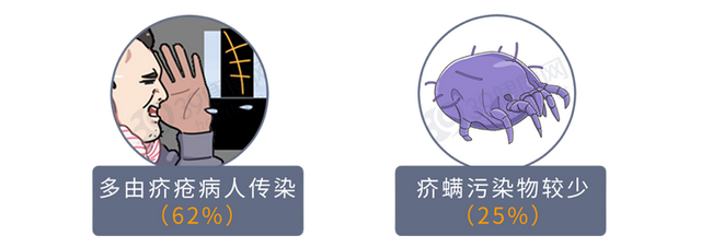 疥螨到底是什么？感染后有何症状？这2种传播途径，男女都要小心