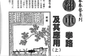 螳螂拳之小翻车翻车辘辘捶一肘遮半身莱阳三山打遍天下的绝招图片