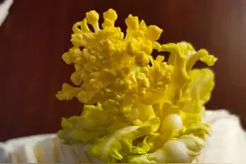 睡觉睡傻了图片