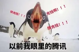 QQ原型阿德利企鹅，呆萌外表下隐藏着一颗“邪恶无比”的心图片