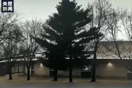 恐怖的大自然力量！实拍大树遭闪电击中几秒钟解体图片