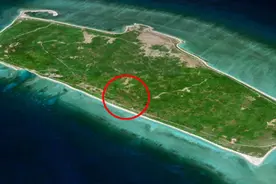 西沙东岛有400头的大规模野牛群？牛粪证明：是家牛，可以适当吃图片