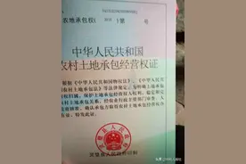 安徽灵璧：耕种18年有承包权证的土地被确权给他人，谁在滥用自己的权利？图片