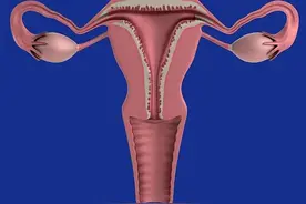 如何解读性激素六项报告？图片