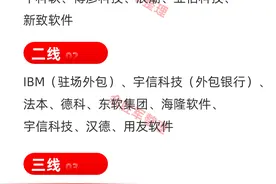 2021中国互联网软件外包公司名单图片