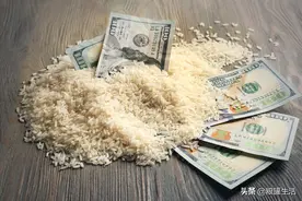 日本金芽米是吉尼斯最贵大米纪录保持者，只因我国这种米还未露面图片