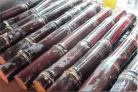 甘蔗有哪些常见品种？黑皮、黄皮、紫皮、青皮，你都知道吗？图片