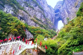 如果妈还活着图片