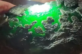 满色莫湾基，肉细满色图片