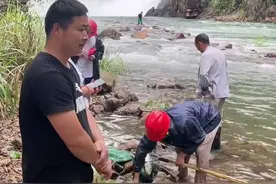 鱼价猛涨吃不起？浙江山中水库泄洪，成群大鱼被冲出可“白捡”图片