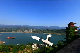 探秘党史展览馆里的“重庆”③ | 舍小家为大家，三峡百万移民的壮举图片