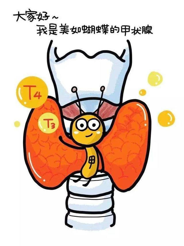 蛋白质大学问，天天都在谈的蛋白质，今天就来认识下