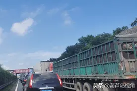 葫芦岛：京哈高速沈阳方向兴城市沙后所路段堵车严重司机谨慎驶入图片