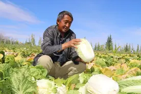 【走向小康】走出多彩致富路图片