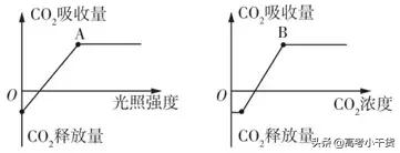 高考生物：考前必记规律、方法和结论(建议掌握）