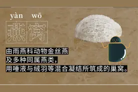 燕窝等于智商税，为什么你还要买？图片