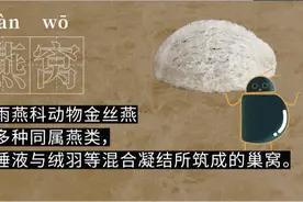 燕窝等于智商税，为什么你还要买？图片