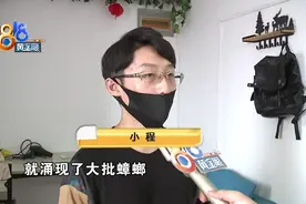 租房见到“大场面”，北方小伙挺害怕 | 退租后发现蟑螂，5000元押金不退？图片