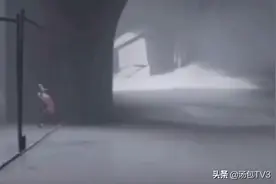 无路的时候，回头看看想想来时的路图片