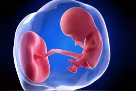孕期第二月这样营养搭配，健康又全面，你做到了哪些图片