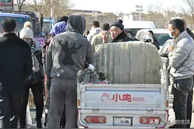 野地菜窖里掉进一只“小宠物”，农村大爷说养不起，看咋处理的图片