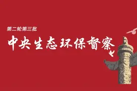 典型案例丨河南省安阳市压减焦化产能不力图片